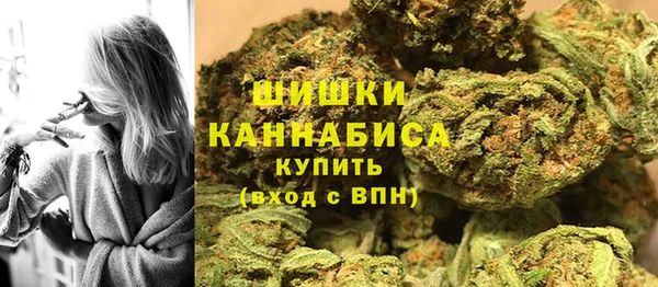 индика Вязьма