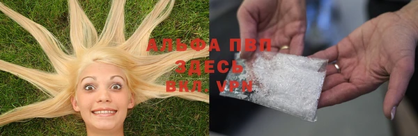 индика Вязьма