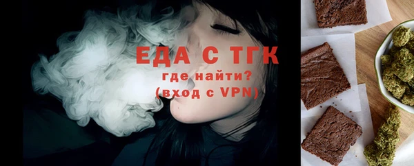 индика Вязьма