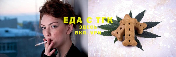 индика Вязьма