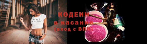 индика Вязьма