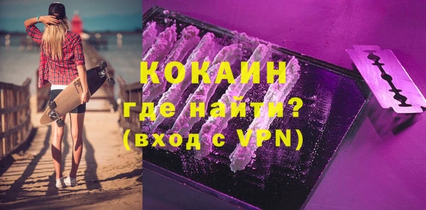 индика Вязьма