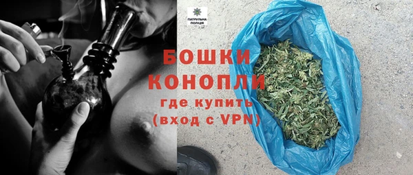 индика Вязьма
