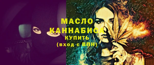 индика Вязьма
