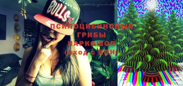 индика Вязьма