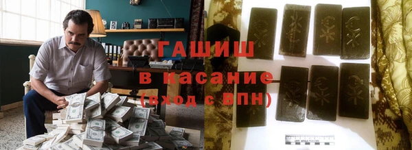 индика Вязьма