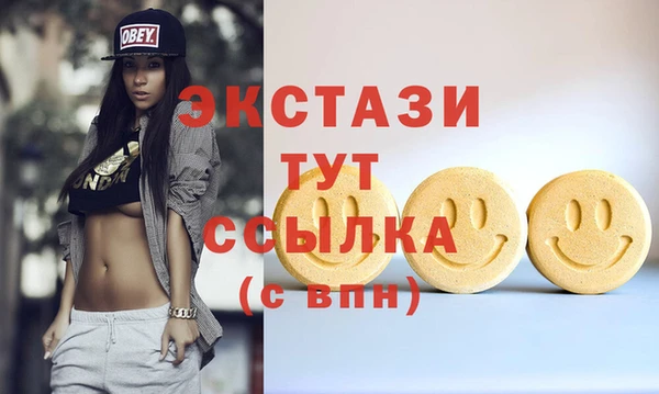 индика Вязьма
