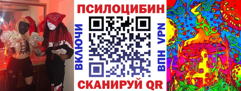 Купить где Белебей Псилоцибиновые грибы Psilocybine cubensis